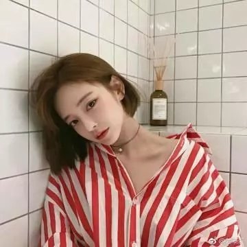 白色堡垒